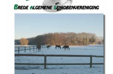 Basbel Magazines Jaargang 2 December 2018 Nummer 4